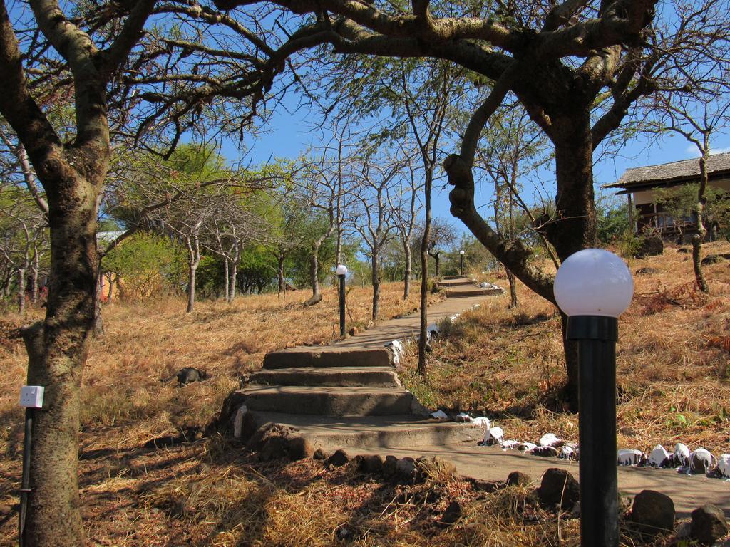 African Sunrise Lodge And Campsite Mto wa Mbu Kültér fotó